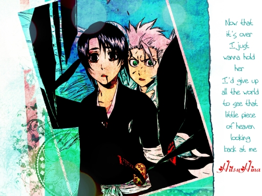 HitsuHina - It's Over