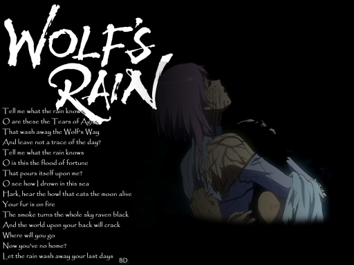 Tell Me What The Rain Says