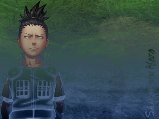 Shikamaru Nara