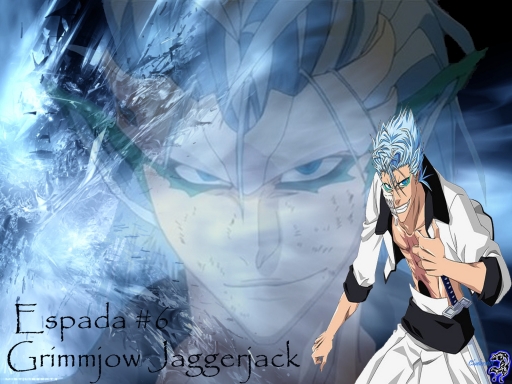 Grimmjow Jaggerjack