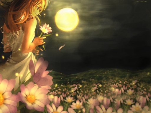 By the Light of the Moon