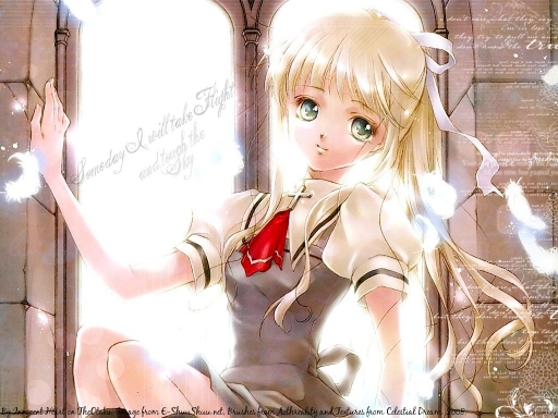 Someday I will take Flight