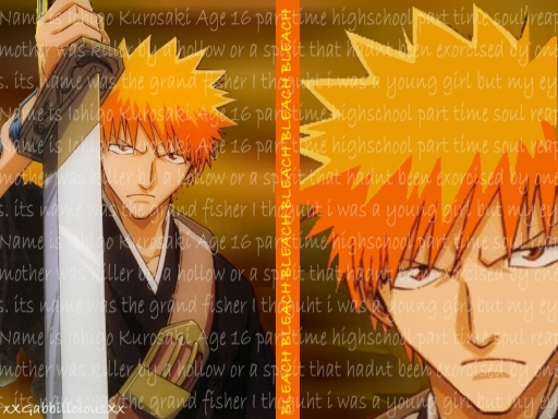 Ichigo Kurosaki