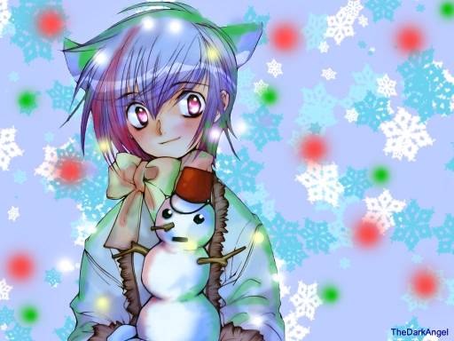 Ritsuka X-mas