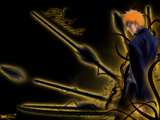 Bleach Ichigo V.