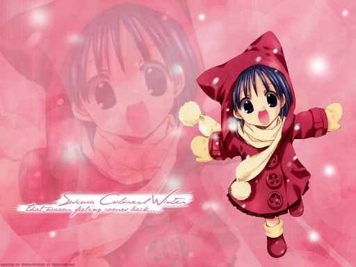 Sakura Colored Winter