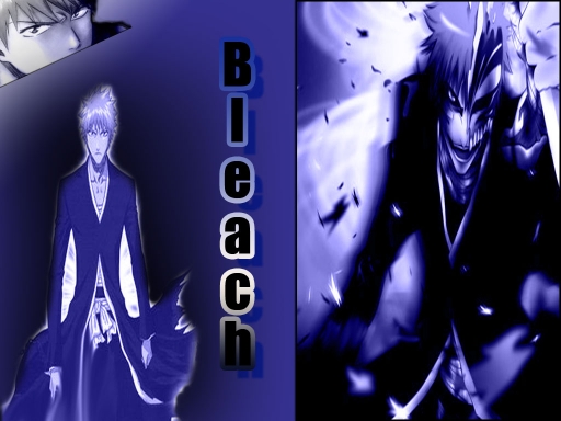 Bleach 677889