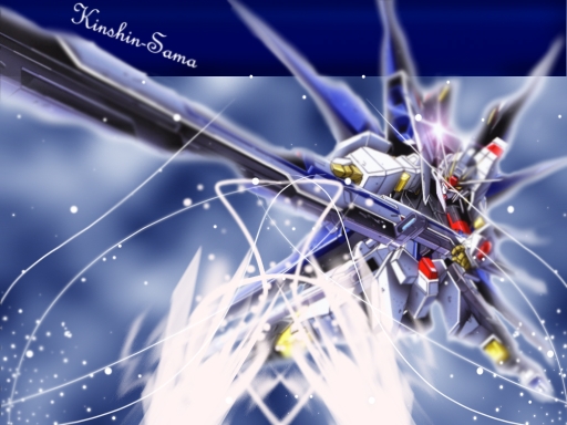 freedom  (kinshin-sama)