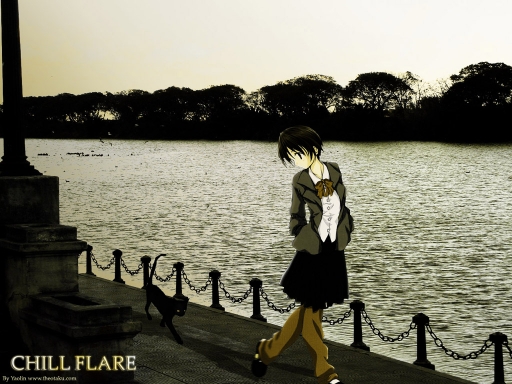 Why Are You Following Me?