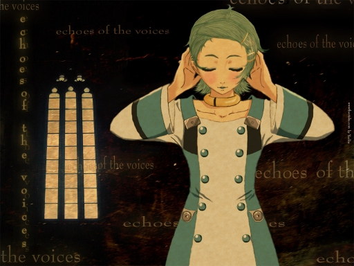 Echoes Of The Voices (v.2)