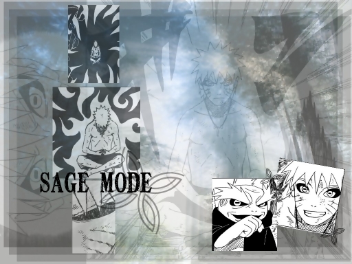 SAGE MODE