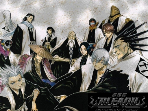 Bleach