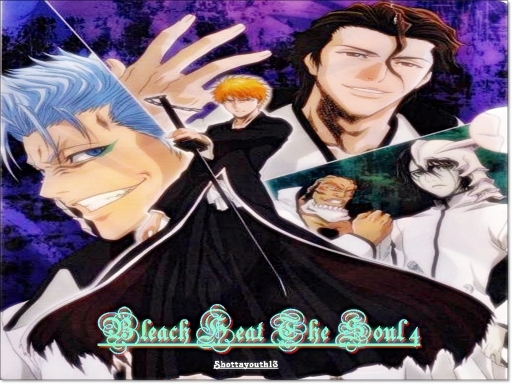 Bleach Heat The Soul 4