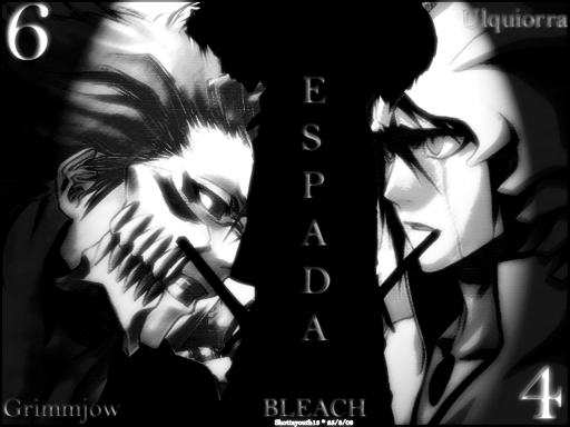 Grimmjow Vs Ulquiorra