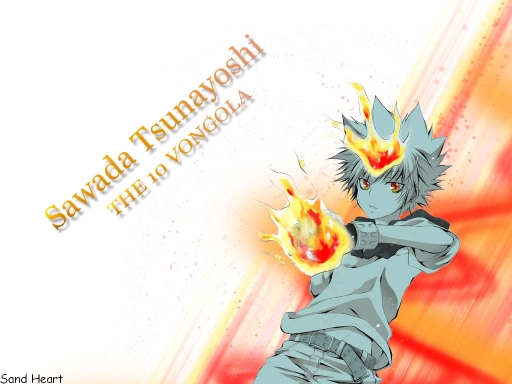 THE 10 VONGOLA