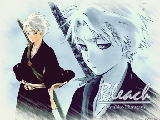 ~ Toushiro Hitsugaya ~