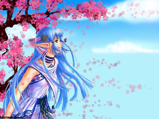 Under The Sakura Tree