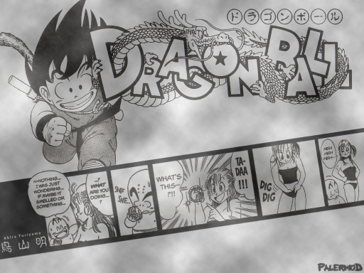 Dragonball Manga Palermod