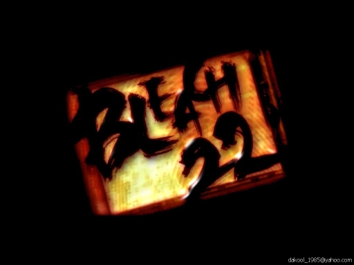 Bleach 22