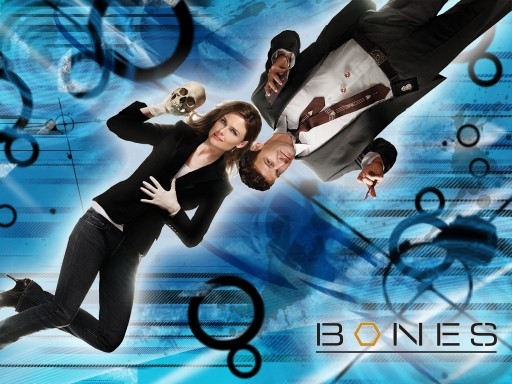 Bones