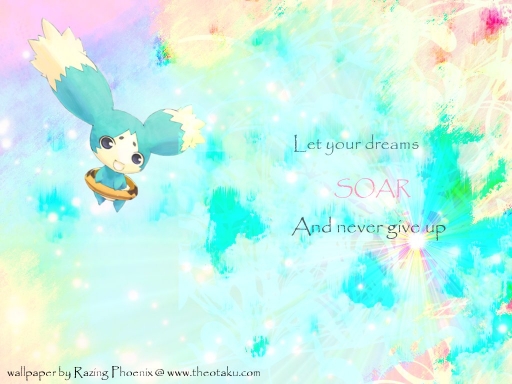 Let Your Dreams SOAR