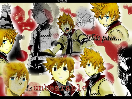 The Pain of Roxas