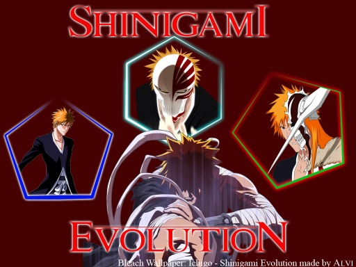 Shinigami Evolution