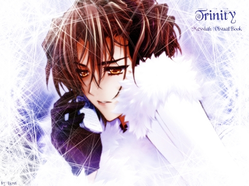 Trinity Messiah Visualbook 7