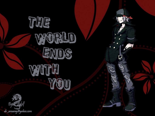 the world ends with you