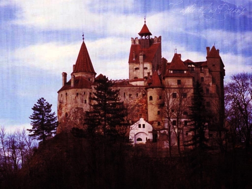 Castle of my dreams