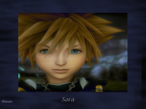 Sora