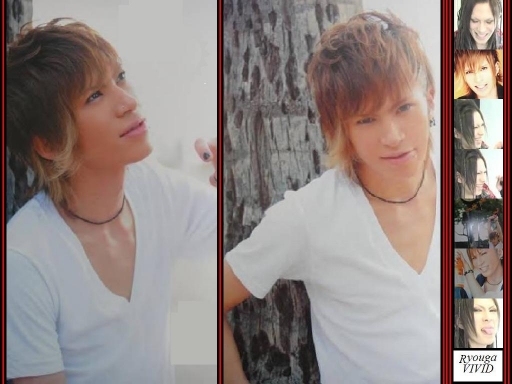 coconut trees and and a warm b