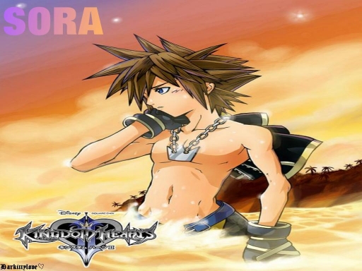 Sora