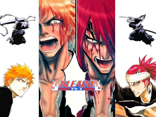 Ichigo & Renji the fight f
