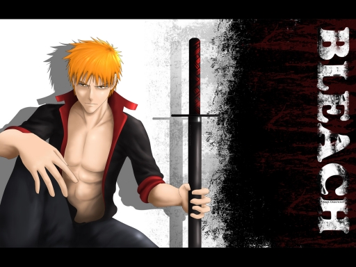 BLEACH NO.1