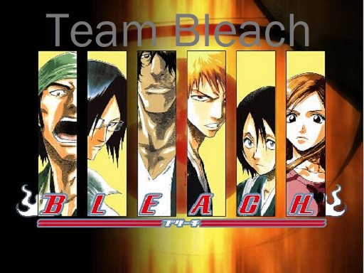 Team Bleach