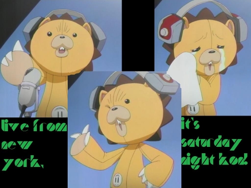 Live from New York, It's...