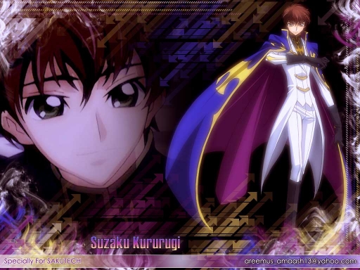 Suzaku Wall For Sakutech