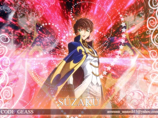 Suzaku Again