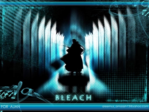 Bleach Walle