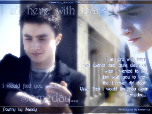 I would find u again someday .