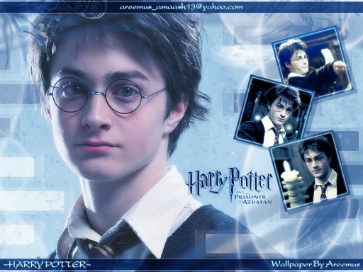 ~Harry Potter P of A~