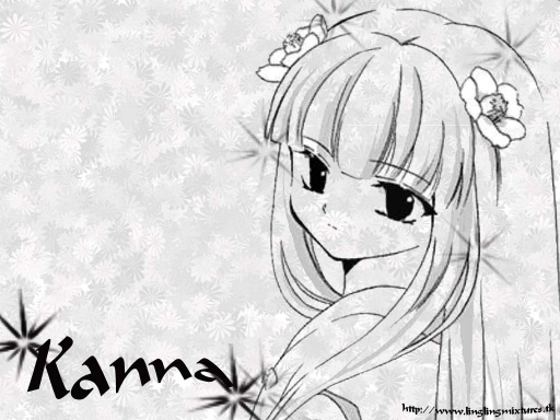 Kanna Flowers