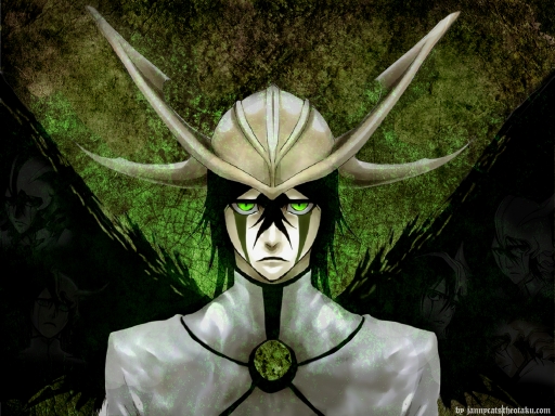 Ulquiorra's Released Form