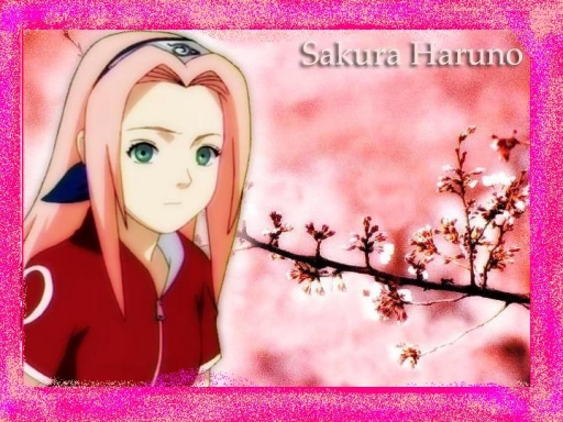 Sakura Blossoms