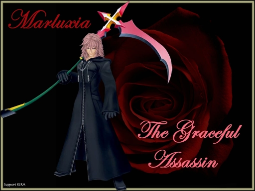 Marluxia-The Graceful Assassin