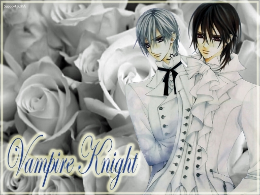 Vampire Knight--Purest White