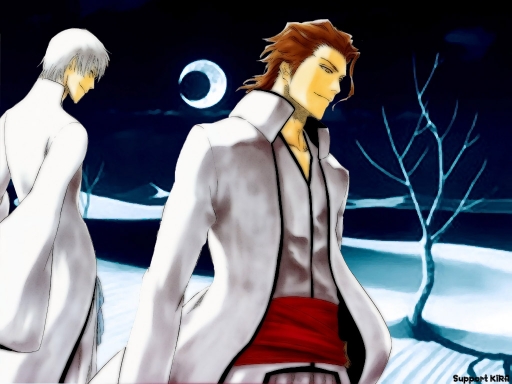 Aizen and Ichimaru