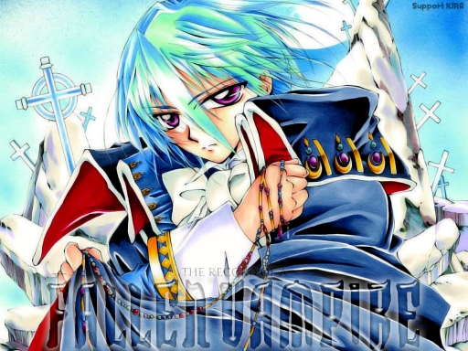 The Record of a Fallen Vampire