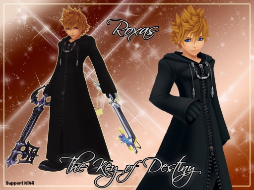 Roxas--The Key of Destiny